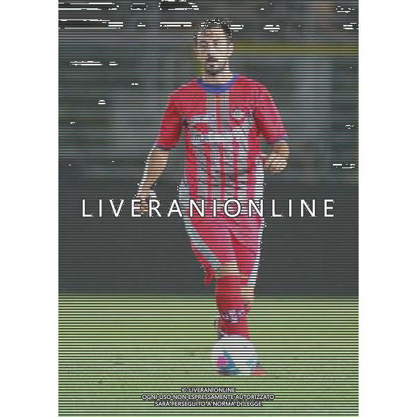 nella foto DARIO BERGAMELLI ,ph.moro/ALDO LIVERANI