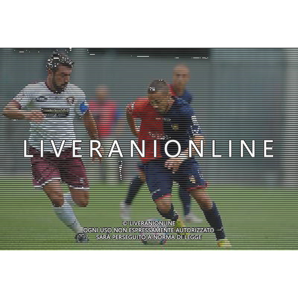 GUBBIO SALERNITANA LEGA PRO 15/09/2013 NELLA FOTO DI FRANCESCO-MONTERVINO FOTO ROBERTO SETTONCE-AG ALDO LIVERANI