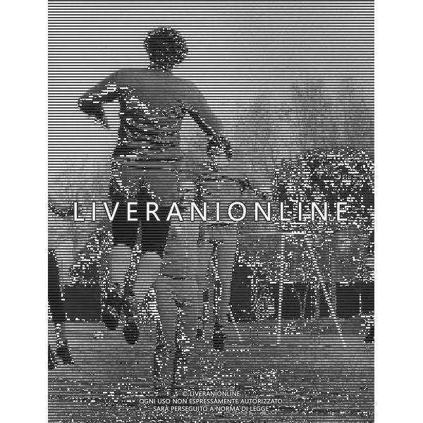 ARCHIVIO GIOVANNI LIVERANI NELLA FOTO TOMMASO MAESTRELLI ALLENATORE LAZIO AG ALDO LIVERANI SAS