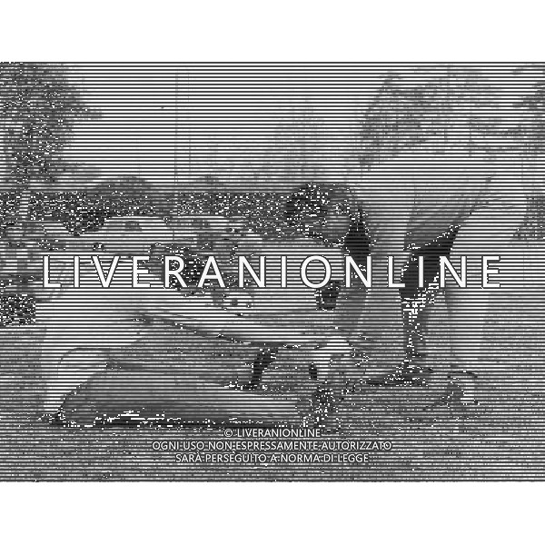 ARCHIVIO GIOVANNI LIVERANI NELLA FOTO TOMMASO MAESTRELLI ALLENATORE LAZIO CON VINCENZO D\'AMICO AG ALDO LIVERANI SAS