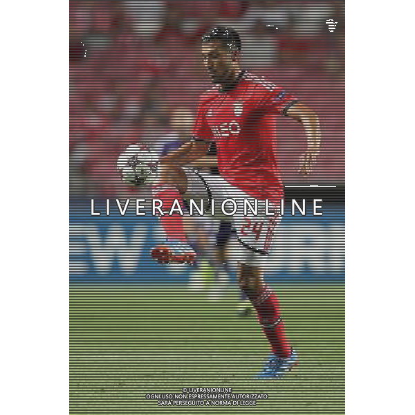 Ezequiel Garay - 17.09.2013 - Anderlecht / Benfica - Ligue des Champions Photo : Carlos Rodrigues / Icon Sport AG ALDO LIVERANI SAS ONLY ITALY