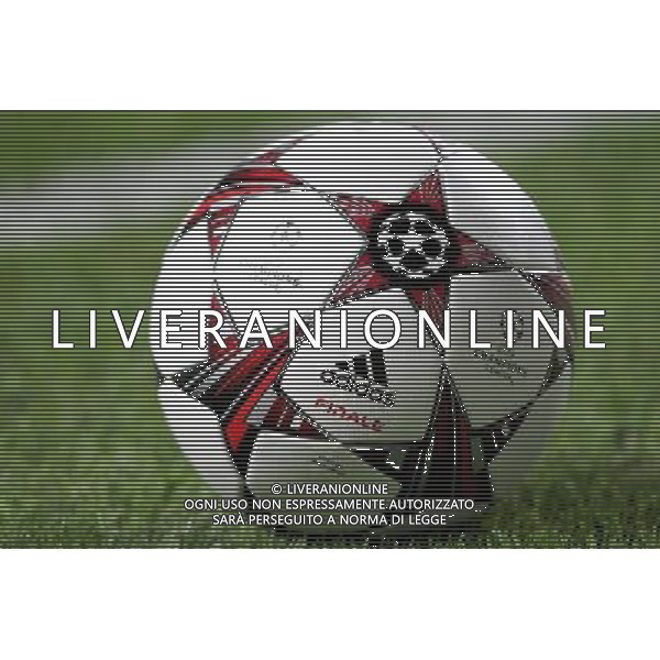 Ballon - 17.09.2013 - Anderlecht / Benfica - Ligue des Champions Photo : Carlos Rodrigues / Icon Sport AG ALDO LIVERANI SAS ONLY ITALY