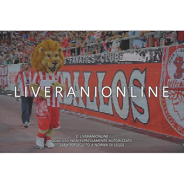 Mascotte - 17.09.2013 - Olympiakos / Paris Saint Germain - Ligue des Champions Photo: Amandine Noel / Icon Sport /AGENZIA ALDO LIVERANI SAS - ITALY ONLY - EDITORIAL USE ONLY