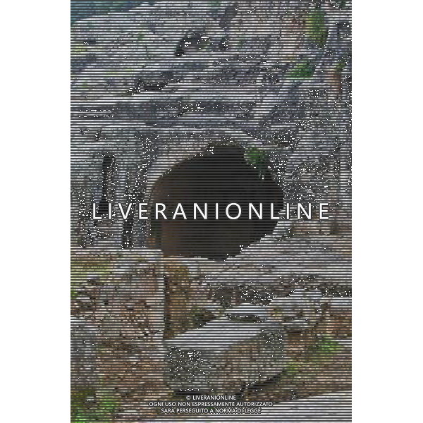 (130920) -- SYRACUSE, Sept. 20, 2013 () -- The photo taken on Sept. 5, 2013 shows the tomb of the preeminent mathematician and engineer Archimedes in Syracuse in Sicily, Italy, . Located in the southeast corner of the island of Sicily, Syracuse is a historic city in Italy. The 2,700-year-old city founded in 734 or 733 BC by Greek settlers from Corinth and Tenea played a key role in ancient times when it was one of the major powers of the Mediterranean world. Once described by Cicero, renowned Roman philosopher and orator, as \'the greatest Greek city and the most beautiful of them all\', the city was listed by UNESCO as a World Heritage Site along with the Necropolis of Pantalica in 2005. (/Zhou Lei) ©PHOTOSHOT/AGENZIA ALDO LIVERANI SAS - ITALY ONLY - EDITORIAL USE ONLY