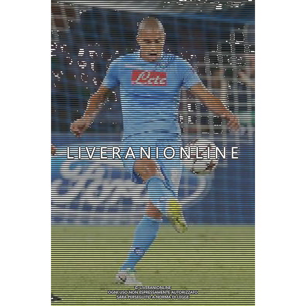 NAPOLI CALCIO NELLA FOTO: GOKHAN INLER FOTO MOSCA- AG.LIVERANI AG ALDO LIVERANI SAS 