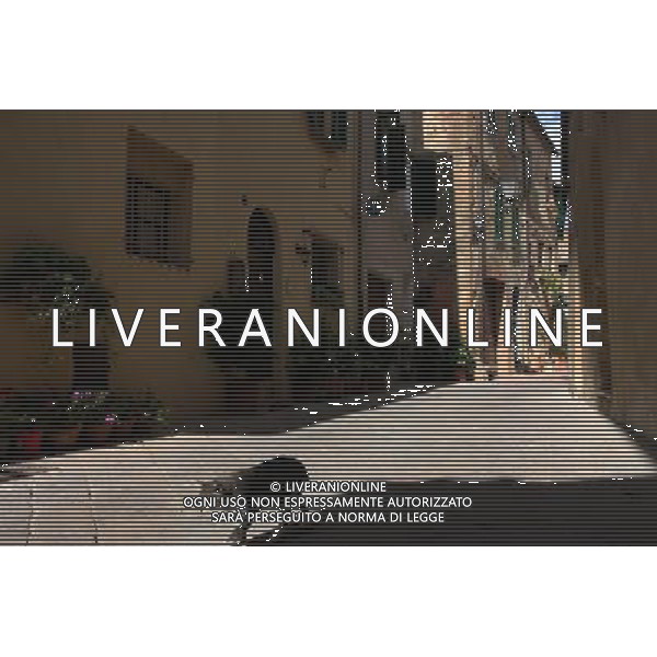 (130926) -- PIENZA (ITALY), Sept. 26, 2013 () -- A cat walks past a street in the historic center of Pienza, Italy, Sept. 25, 2013. It was in this Tuscan town that Renaissance town-planning concepts were first put into practice after Pope Pius II decided, in 1459, to transform the look of his birthplace. He chose the architect Bernardo Rossellino, who applied the principles of his mentor, Leon Battista Alberti. This new vision of urban space was realized in the superb square known as Piazza Pio II and the buildings around it: the Piccolomini Palace, the Borgia Palace and the cathedral with its pure Renaissance exterior and an interior in the late Gothic style of south German churches. The UNESCO Commitee inscribed the historic enter of the city of Pienza as a world heritage site in 1996. (/Du Juanjuan) (jl) ©photoshot/AGENZIA ALDO LIVERANI SAS - ITALY ONLY - EDITORIAL USE ONLY - VEDUTE DEL CENTRO STORICO DELLA CITTA\' DI PIENZA IN PROVINCIA DI SIENA IN TOSCANA iscritta dal Comitato UNESCO come sito del patrimonio mondiale nel 1996