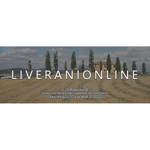 (130926) -- BUNOCONVENTO (ITALY), Sept. 26, 2013 () -- Photo taken on Sept. 25, 2013 shows the view of the Val d\'Orcia near Buonconvento, Italy. The landscape of Val d\'Orcia is part of the agricultural hinterland of Siena, redrawn and developed when it was integrated in the territory of the city-state in the 14th and 15th centuries to reflect an idealized model of good governance and to create an aesthetically pleasing picture. The landscape\'s distinctive aesthetics, flat chalk plains out of which rise almost conical hills with fortified settlements on top, inspired many artists. Their images have come to exemplify the beauty of well-managed Renaissance agricultural landscapes. The inscription covers: an agrarian and pastoral landscape reflecting innovative land-management systems; towns and villages; farmhouses; and the Roman Via Francigena and its associated abbeys, inns, shrines, bridges, etc. The UNESCO Commitee inscribed the Val d\'Orcia as a world heritage site in 2004. (/Du Juanjuan) (jl) ©photoshot/AGENZIA ALDO LIVERANI SAS - ITALY ONLY - EDITORIAL USE ONLY - Vedute della Val d\'Orcia, nei pressi di Buonconvento, nella provincia di Siena in Italia iscritta dal Comitato UNESCO, come un sito del patrimonio mondiale nel 2004.