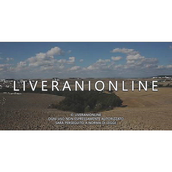 (130926) -- BUNOCONVENTO (ITALY), Sept. 26, 2013 () -- Photo taken on Sept. 25, 2013 shows the view of the Val d\'Orcia near Buonconvento, Italy. The landscape of Val d\'Orcia is part of the agricultural hinterland of Siena, redrawn and developed when it was integrated in the territory of the city-state in the 14th and 15th centuries to reflect an idealized model of good governance and to create an aesthetically pleasing picture. The landscape\'s distinctive aesthetics, flat chalk plains out of which rise almost conical hills with fortified settlements on top, inspired many artists. Their images have come to exemplify the beauty of well-managed Renaissance agricultural landscapes. The inscription covers: an agrarian and pastoral landscape reflecting innovative land-management systems; towns and villages; farmhouses; and the Roman Via Francigena and its associated abbeys, inns, shrines, bridges, etc. The UNESCO Commitee inscribed the Val d\'Orcia as a world heritage site in 2004. (/Du Juanjuan) (jl) ©photoshot/AGENZIA ALDO LIVERANI SAS - ITALY ONLY - EDITORIAL USE ONLY - Vedute della Val d\'Orcia, nei pressi di Buonconvento, nella provincia di Siena in Italia iscritta dal Comitato UNESCO, come un sito del patrimonio mondiale nel 2004.