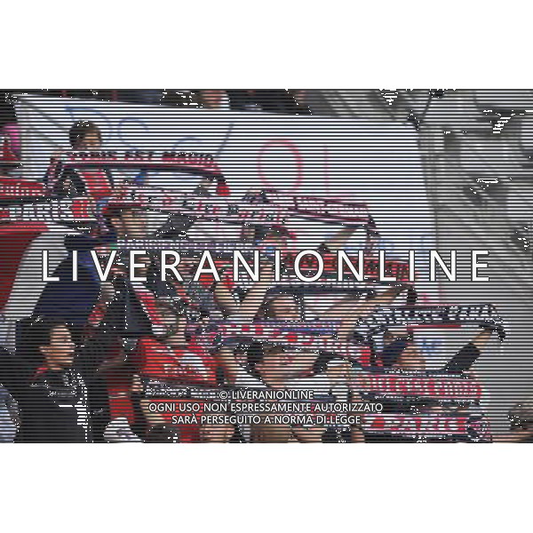 Supporters PSG - 29.09.2013 - Paris Saint Germain / Lyon - 4e journee - Feminine Photo: Amandine Noel / Icon Sport AG ALDO LIVERANI SAS ONLY ITALY