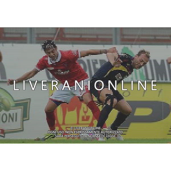 PERUGIA LECCE LEGA PRO 29/09/2013 NELLA FOTO SINI-MELARA FOTO SETTONCE -AG ALDO LIVERANI SAS