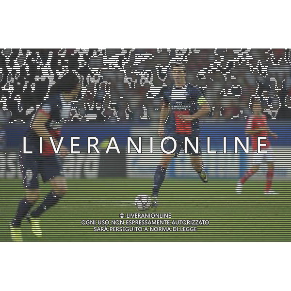 Edinson CAVANI / Zlatan IBRAHIMOVIC - 02.10.2013 - Paris Saint Germain / Benfica - Ligue des Champions Photo: Amandine Noel / Icon Sport AG ALDO LIVERANI SAS ONLY ITALY