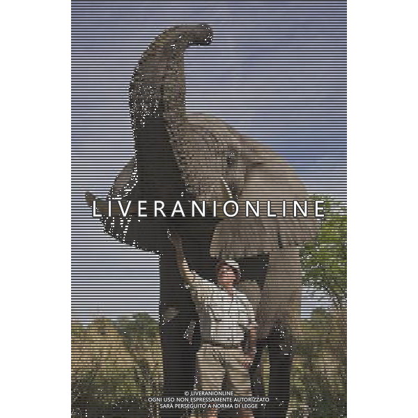 Researchers from the University of St Andrews have found that African elephants seem to have an instinctive understanding of what it means when a human points to something. ©photoshot/AGENZIA ALDO LIVERANI SAS - ITALY ONLY - I ricercatori della University of St Andrews hanno scoperto che gli elefanti africani sembrano avere una comprensione istintiva con gli esseri umani da instaurare un \'legame unico\'