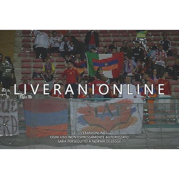 GARA DI QUALIFICAZIONE ALLA COPPA DEL MONDO FIFA 2014 NAPOLI 15 OTTOBRE 2013 STADIO SAN PAOLO ITALIA, ARMENIA NELLA FOTO: I TIFOSI DELL\'ARMENIA FOTO MOSCA- AG. LIVERANI /AGENZIA ALDO LIVERANI SAS