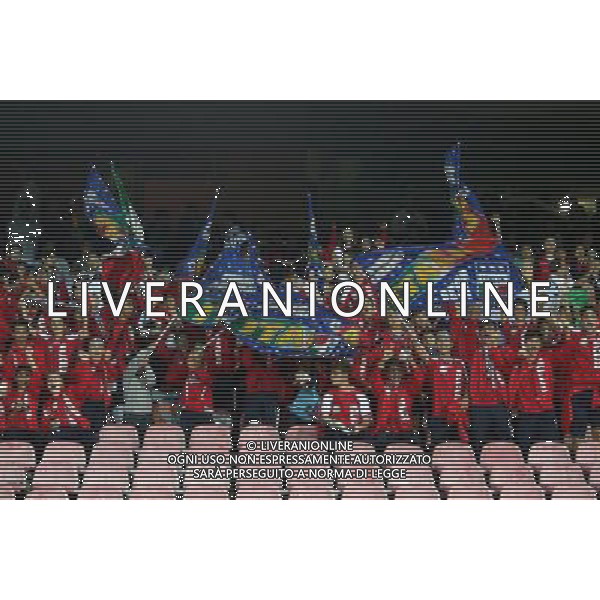 GARA DI QUALIFICAZIONE ALLA COPPA DEL MONDO FIFA 2014 NAPOLI 15 OTTOBRE 2013 STADIO SAN PAOLO ITALIA, ARMENIA NELLA FOTO: I TIFOSI DELL\'ITALIA FOTO MOSCA- AG. LIVERANI /AGENZIA ALDO LIVERANI SAS