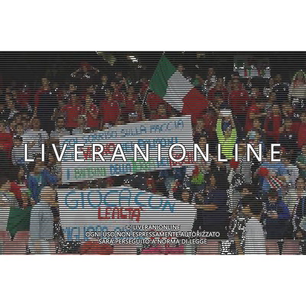 GARA DI QUALIFICAZIONE ALLA COPPA DEL MONDO FIFA 2014 NAPOLI 15 OTTOBRE 2013 STADIO SAN PAOLO ITALIA, ARMENIA NELLA FOTO: I TIFOSI DELL\'ITALIA FOTO MOSCA- AG. LIVERANI /AGENZIA ALDO LIVERANI SAS