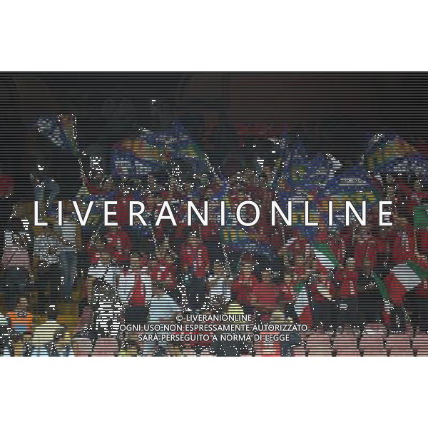 GARA DI QUALIFICAZIONE ALLA COPPA DEL MONDO FIFA 2014 NAPOLI 15 OTTOBRE 2013 STADIO SAN PAOLO ITALIA, ARMENIA NELLA FOTO: I TIFOSI DELL\'ITALIA FOTO MOSCA- AG. LIVERANI /AGENZIA ALDO LIVERANI SAS