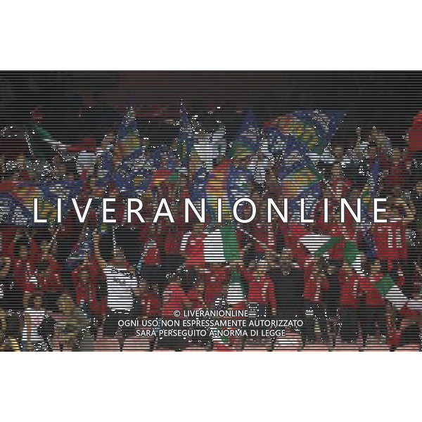 GARA DI QUALIFICAZIONE ALLA COPPA DEL MONDO FIFA 2014 NAPOLI 15 OTTOBRE 2013 STADIO SAN PAOLO ITALIA, ARMENIA NELLA FOTO: I TIFOSI DELL\'ITALIA FOTO MOSCA- AG. LIVERANI /AGENZIA ALDO LIVERANI SAS