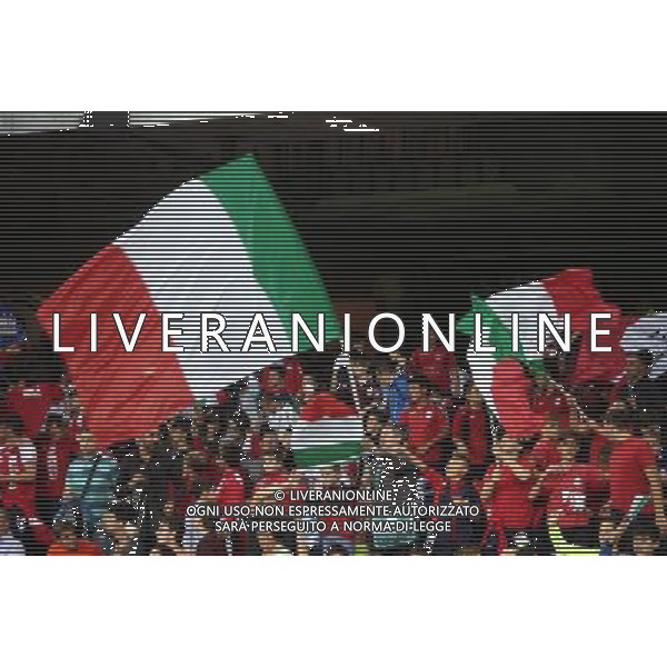 GARA DI QUALIFICAZIONE ALLA COPPA DEL MONDO FIFA 2014 NAPOLI 15 OTTOBRE 2013 STADIO SAN PAOLO ITALIA, ARMENIA NELLA FOTO: I TIFOSI DELL\'ITALIA FOTO MOSCA- AG. LIVERANI /AGENZIA ALDO LIVERANI SAS