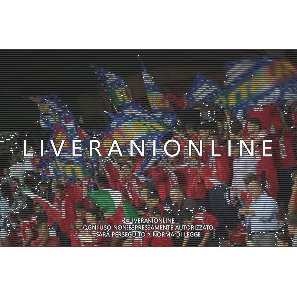 GARA DI QUALIFICAZIONE ALLA COPPA DEL MONDO FIFA 2014 NAPOLI 15 OTTOBRE 2013 STADIO SAN PAOLO ITALIA, ARMENIA NELLA FOTO: I TIFOSI DELL\'ITALIA FOTO MOSCA- AG. LIVERANI /AGENZIA ALDO LIVERANI SAS