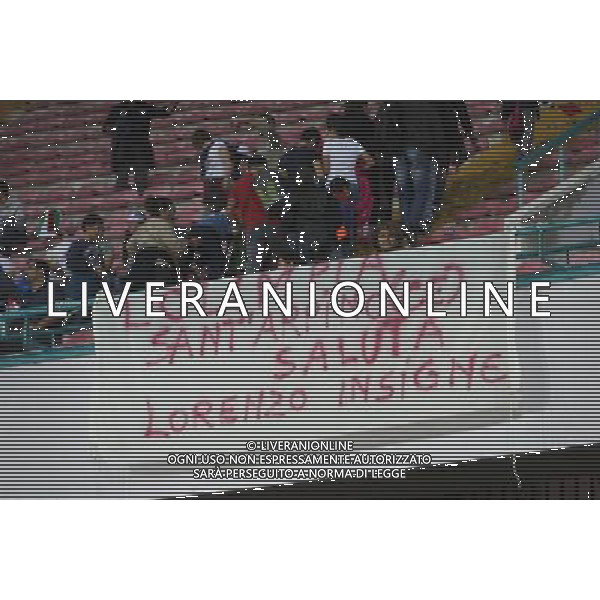 GARA DI QUALIFICAZIONE ALLA COPPA DEL MONDO FIFA 2014 NAPOLI 15 OTTOBRE 2013 STADIO SAN PAOLO ITALIA, ARMENIA NELLA FOTO: I TIFOSI DELL\'ITALIA FOTO MOSCA- AG. LIVERANI /AGENZIA ALDO LIVERANI SAS