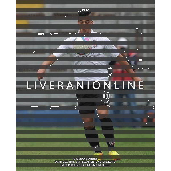 Campionato di Calcio Lega Pro Prima Divisione Girone A 2013/2014 7 Giornata Como - 20.10.2013 Como-Pro Vercelli Nella Foto:Ruggiero Giuseppe /Ph.Vitez-Ag. Aldo Liverani