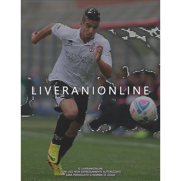 Campionato di Calcio Lega Pro Prima Divisione Girone A 2013/2014 7 Giornata Como - 20.10.2013 Como-Pro Vercelli Nella Foto:Ruggiero Giuseppe /Ph.Vitez-Ag. Aldo Liverani