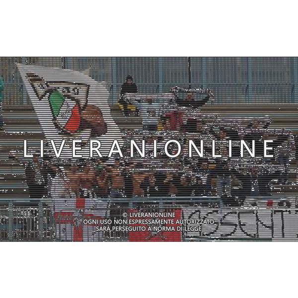 Campionato di Calcio Lega Pro Prima Divisione Girone A 2013/2014 7 Giornata Como - 20.10.2013 Como-Pro Vercelli Nella Foto:Tifosi Pro Vercelli /Ph.Vitez-Ag. Aldo Liverani