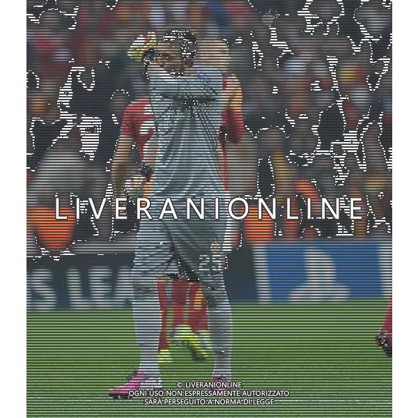 UEFA Champions League group B match between Galatasaray and FC Copenhagen at Turk Telekom Arena Stadium on October 23, 2013 in Istanbul, Turkey Pictured: Goalkeeper Fernando Muslera of Galatasaray. LIGA MISTRZOW SEZON 2013/2014 PILKA NOZNA GALATASARAY ISTAMBUL vs FC KOPENHAGA FOT.SESKIM PHOTO/NEWSPIX.PL TURKEY, GERMANY, AUSTRIA AND UK OUT !!! --- Newspix.pl ©PHOTOSHOT/AGENZIA ALDO LIVERANI SAS - ITALY ONLY - EDITORIAL USE ONLY *** Local Caption *** www.newspix.pl mail us: info@newspix.pl call us: 0048 022 23 22 222 --- Polish Picture Agency by Ringier Axel Springer Poland