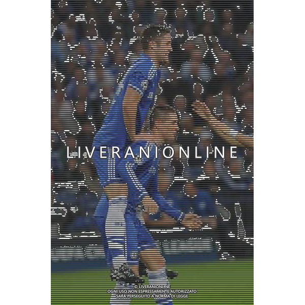 22.10.2013, Veltins Arena, Gelsenkirchen, GER, UEFA CL, FC Schalke 04 vs FC Chelsea, im Bild V l n r Gary Cahill jubelt mit Torschuetze Fernando Torres ( beide Chelsea FC / Emotion ) ueber da 1 : 0 // during the UEFA Champions League group E match between FC Schalke 04 and FC Chelsea at the Veltins Arena in Gelsenkirchen, Germany on 2013/10/22. *****ATTENTION - OUT of GER***** ©photoshot/AGENZIA ALDO LIVERANI SAS - ITALY ONLY - EDITORIAL USE ONLY