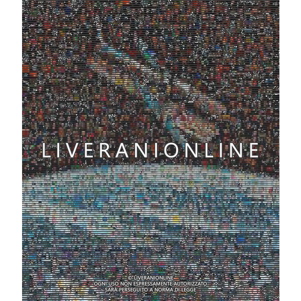 This mosaic image is composed of the Facebook profile pictures of the ESA/Hubble Facebook friends. Each of our Facebook friends acts as a Hubble ambassador every time they share one of our Facebook stories or images with their friends. Although it may seem like a small gesture, their efforts play a role in the bigger picture. This image is to symbolically show the role they play and it was done on the occasion of reaching 100 000 Facebook friends. The image was done with the free software AndreaMosaic. The original image can be found here.Ã‚Â  * Editorial Use Only * Â©Photoshot/Ag. Aldo Liverani s.a.s.-Only Italy-Editorial Use Only