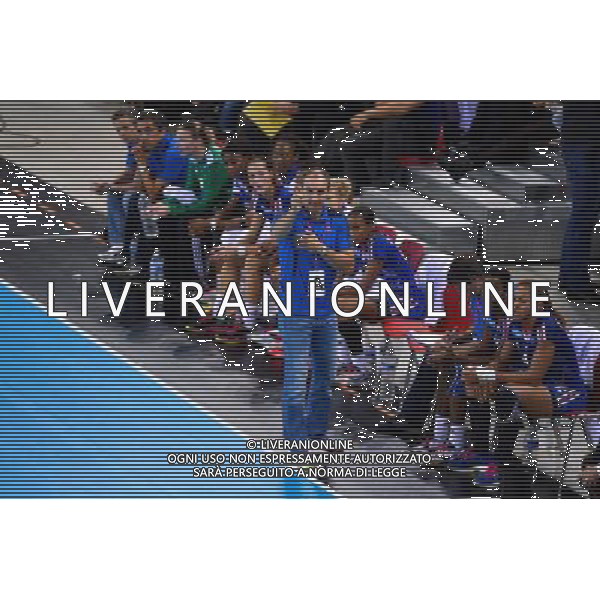Alain PORTES - 24.10.2013 - France / Slovaquie - Eliminatoires Euro 2014 Photo : Dave Winter / Icon Sport AG ALDO LIVERANI SAS ONLY ITALY *** Local Caption ***