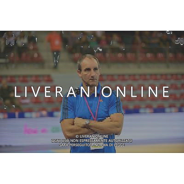 Alain PORTES - 24.10.2013 - France / Slovaquie - Eliminatoires Euro 2014 Photo : Dave Winter / Icon Sport AG ALDO LIVERANI SAS ONLY ITALY *** Local Caption ***