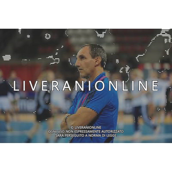 Alain PORTES - 24.10.2013 - France / Slovaquie - Eliminatoires Euro 2014 Photo : Dave Winter / Icon Sport AG ALDO LIVERANI SAS ONLY ITALY *** Local Caption ***