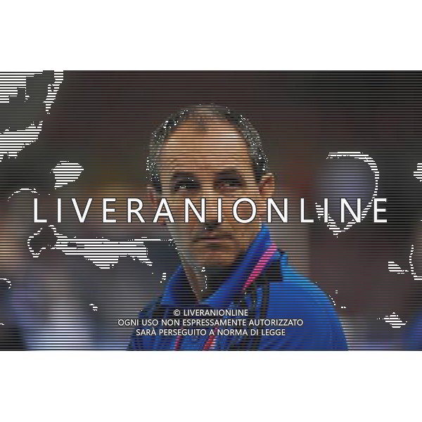 Alain PORTES - 24.10.2013 - France / Slovaquie - Eliminatoires Euro 2014 Photo : Dave Winter / Icon Sport AG ALDO LIVERANI SAS ONLY ITALY *** Local Caption ***