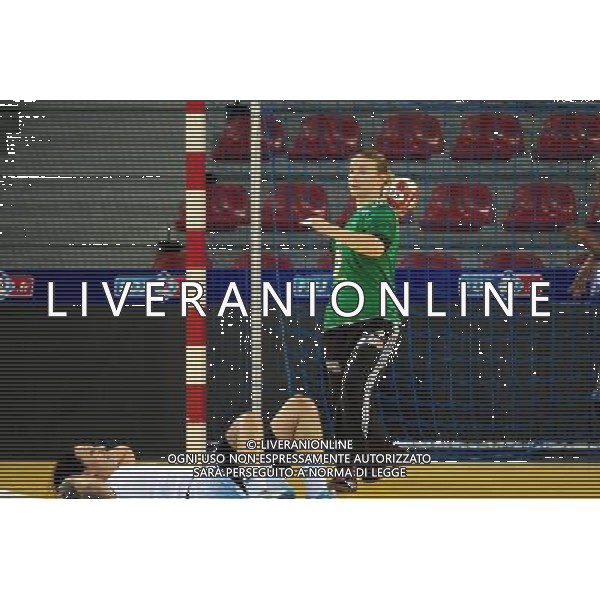 Amandine LEYNAUD - 24.10.2013 - France / Slovaquie - Eliminatoires Euro 2014 Photo : Dave Winter / Icon Sport AG ALDO LIVERANI SAS ONLY ITALY *** Local Caption ***