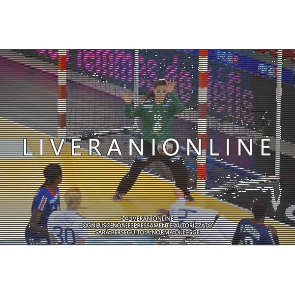 Cleopatre DARLEUX - 24.10.2013 - France / Slovaquie - Eliminatoires Euro 2014 Photo : Dave Winter / Icon Sport AG ALDO LIVERANI SAS ONLY ITALY *** Local Caption ***