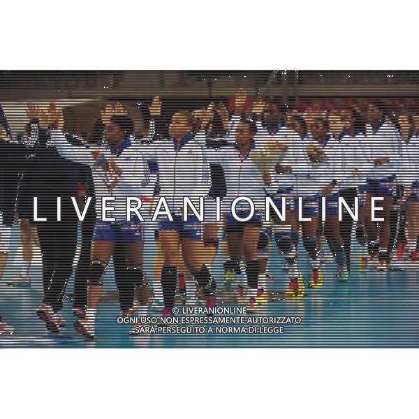 Joie France - 24.10.2013 - France / Slovaquie - Eliminatoires Euro 2014 Photo : Dave Winter / Icon Sport AG ALDO LIVERANI SAS ONLY ITALY *** Local Caption ***