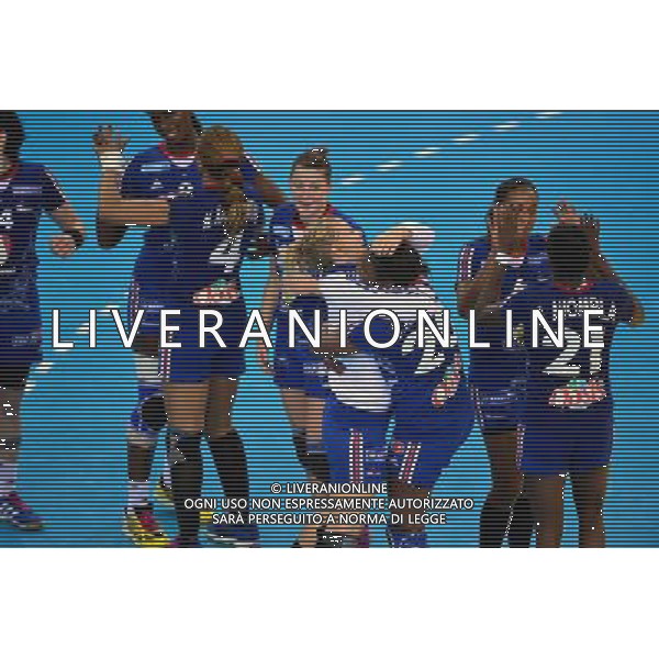 Joie France - 24.10.2013 - France / Slovaquie - Eliminatoires Euro 2014 Photo : Dave Winter / Icon Sport AG ALDO LIVERANI SAS ONLY ITALY *** Local Caption ***