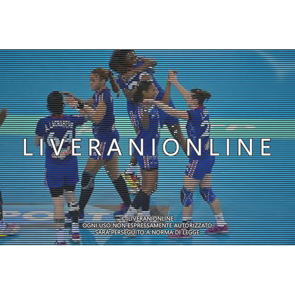 Joie France - 24.10.2013 - France / Slovaquie - Eliminatoires Euro 2014 Photo : Dave Winter / Icon Sport AG ALDO LIVERANI SAS ONLY ITALY *** Local Caption ***
