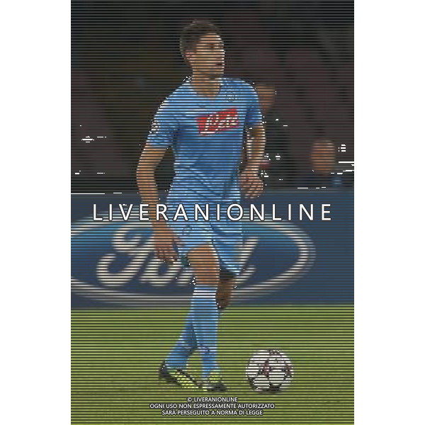 NAPOLI CALCIO NELLA FOTO: FEDERICO FERNANDEZ FOTO MOSCA- AG.LIVERANI NAPOLI-OLYMPIQUE MARSIGLIA CHAMPIONS LEAGUE AG ALDO LIVERANI SAS