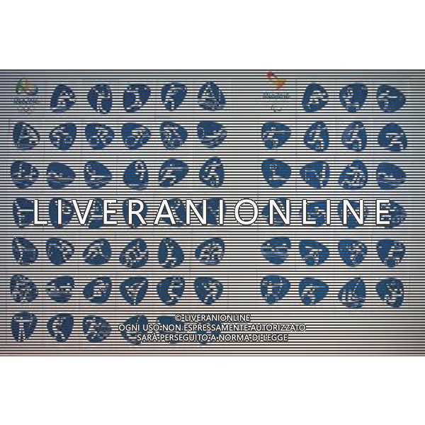 (131108) -- RIO DE JANEIRO, Nov. 8, 2013 () -- Pictograms for the Rio 2016 Olympic and Paralympic Games are seen during their presentation by the Rio 2016 Organizing Committee in Rio de Janeiro, Brazil, on Nov. 7, 2013. (/Xu Zijian) ©Photoshot/Ag. Aldo Liverani s.a.s.-Only Italy-Editorial Use Only