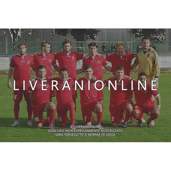 formazione Palazzolo,Palazzolo-Correggiese categoria D Palazzolo 10 Novembre 2013 .ph Fotolive/Francesco Vinella /Ag. Aldo Liverani s.a.s. 