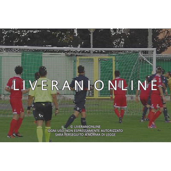 I¡ gol zini n5 correggiese,Palazzolo-Correggiese categoria D Palazzolo 10 Novembre 2013 .ph Fotolive/Francesco Vinella /Ag. Aldo Liverani s.a.s. 