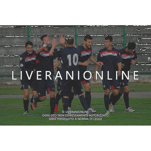 ,Palazzolo-Correggiese categoria D Palazzolo 10 Novembre 2013 .ph Fotolive/Francesco Vinella /Ag. Aldo Liverani s.a.s. 