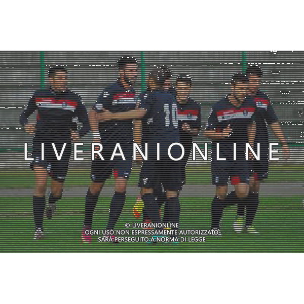 ,Palazzolo-Correggiese categoria D Palazzolo 10 Novembre 2013 .ph Fotolive/Francesco Vinella /Ag. Aldo Liverani s.a.s. 