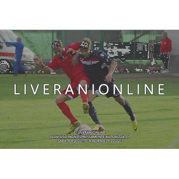 Pagani Palazzolo Sabotic corregg.,Palazzolo-Correggiese categoria D Palazzolo 10 Novembre 2013 .ph Fotolive/Francesco Vinella /Ag. Aldo Liverani s.a.s. 