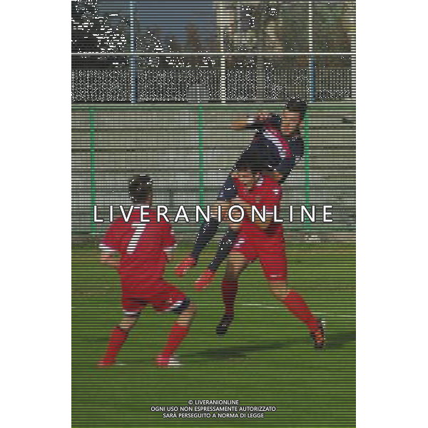 ,Palazzolo-Correggiese categoria D Palazzolo 10 Novembre 2013 .ph Fotolive/Francesco Vinella /Ag. Aldo Liverani s.a.s. 