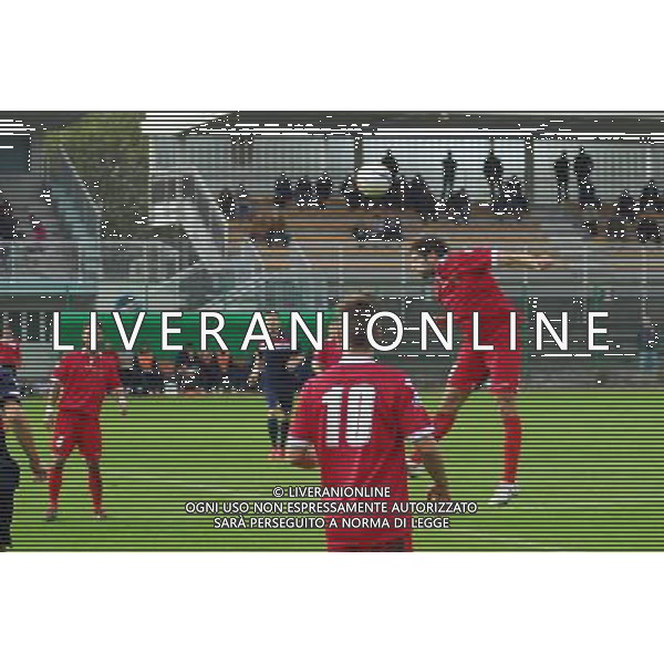 ,Palazzolo-Correggiese categoria D Palazzolo 10 Novembre 2013 .ph Fotolive/Francesco Vinella /Ag. Aldo Liverani s.a.s. 