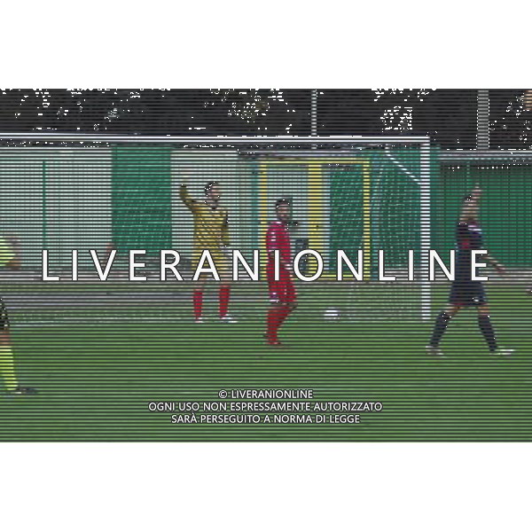 II¡Gol luppi corregg.,Palazzolo-Correggiese categoria D Palazzolo 10 Novembre 2013 .ph Fotolive/Francesco Vinella /Ag. Aldo Liverani s.a.s. 