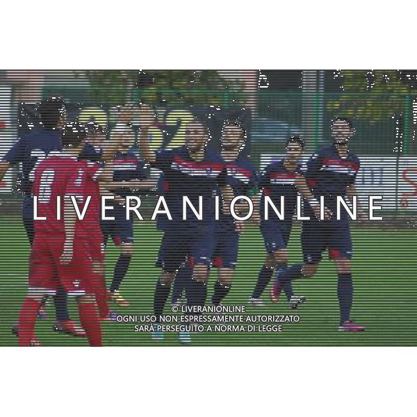 ,Palazzolo-Correggiese categoria D Palazzolo 10 Novembre 2013 .ph Fotolive/Francesco Vinella /Ag. Aldo Liverani s.a.s. 